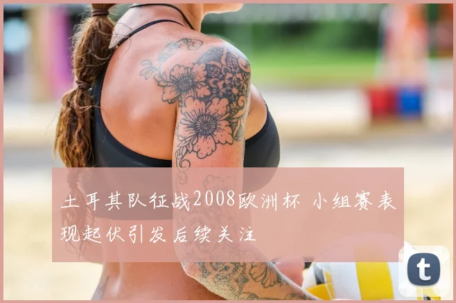 土耳其队征战2008欧洲杯 小组赛表现起伏引发后续关注