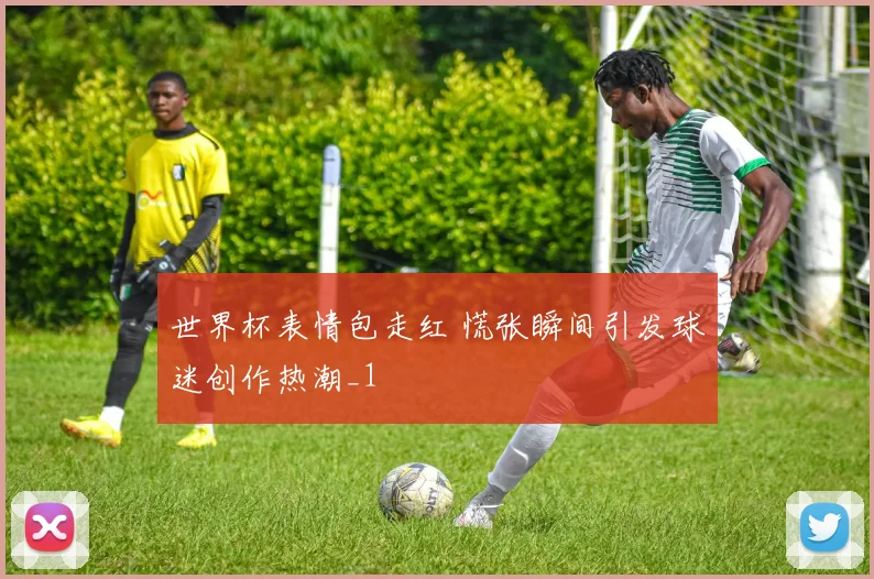 世界杯表情包走红 慌张瞬间引发球迷创作热潮_1