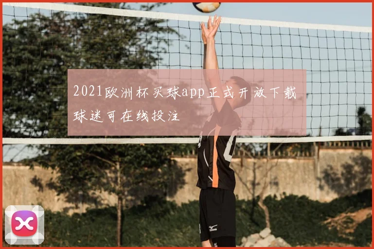 2021欧洲杯买球app正式开放下载 球迷可在线投注