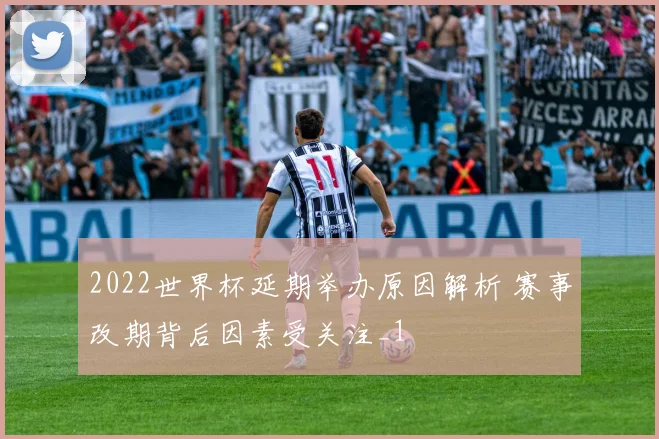 2022世界杯延期举办原因解析 赛事改期背后因素受关注_1